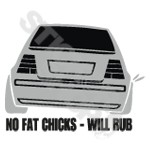 No Fat Chick Will Scrape MK4 