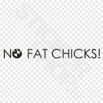 No Fat Chicks In BMW