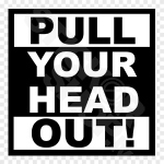 Pull Your Head Out