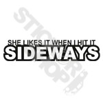 She Likes It When I Hit It Sideways