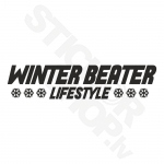 Winter Beater Lifestyle