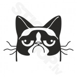 Grumpy Cat V2