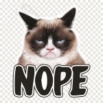 Grumpy Cat Nope