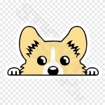JDM Puppy