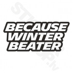 Because Winter Beater