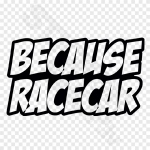 Because Race Car