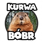 Kurwa Bobr