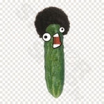 Afro Cucumber