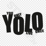 YOLO You Only Live Once 5