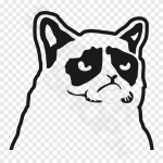 Grumpy Cat