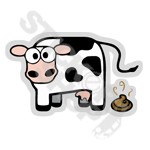 Crazy Cow