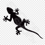 Lizard