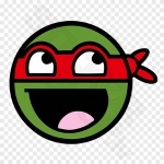 Turtle Ninja Face