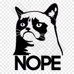 Grumpy Cat Nope