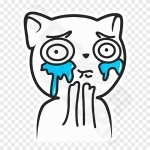 Crying Cat