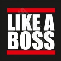 Like A Boss