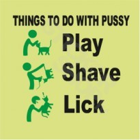 Things To Do With Pussy 
