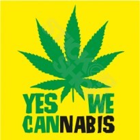 Yes We Cannabis