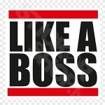 Like A Boss 3