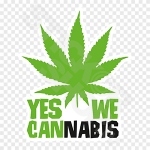 Yes We Cannabis