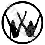 VW Chicks