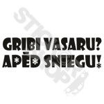 Gribi Vasaru Aped Sniegu