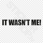 It Wasnt Me