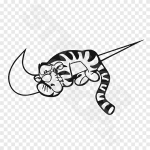 Tiger Nike