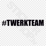 Twerkteam