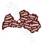 Visur Čuhņa