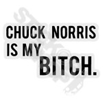 Chuck Norris Is My Bitch