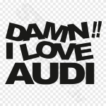 Damn I Love AUDI