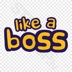 Like A Boss